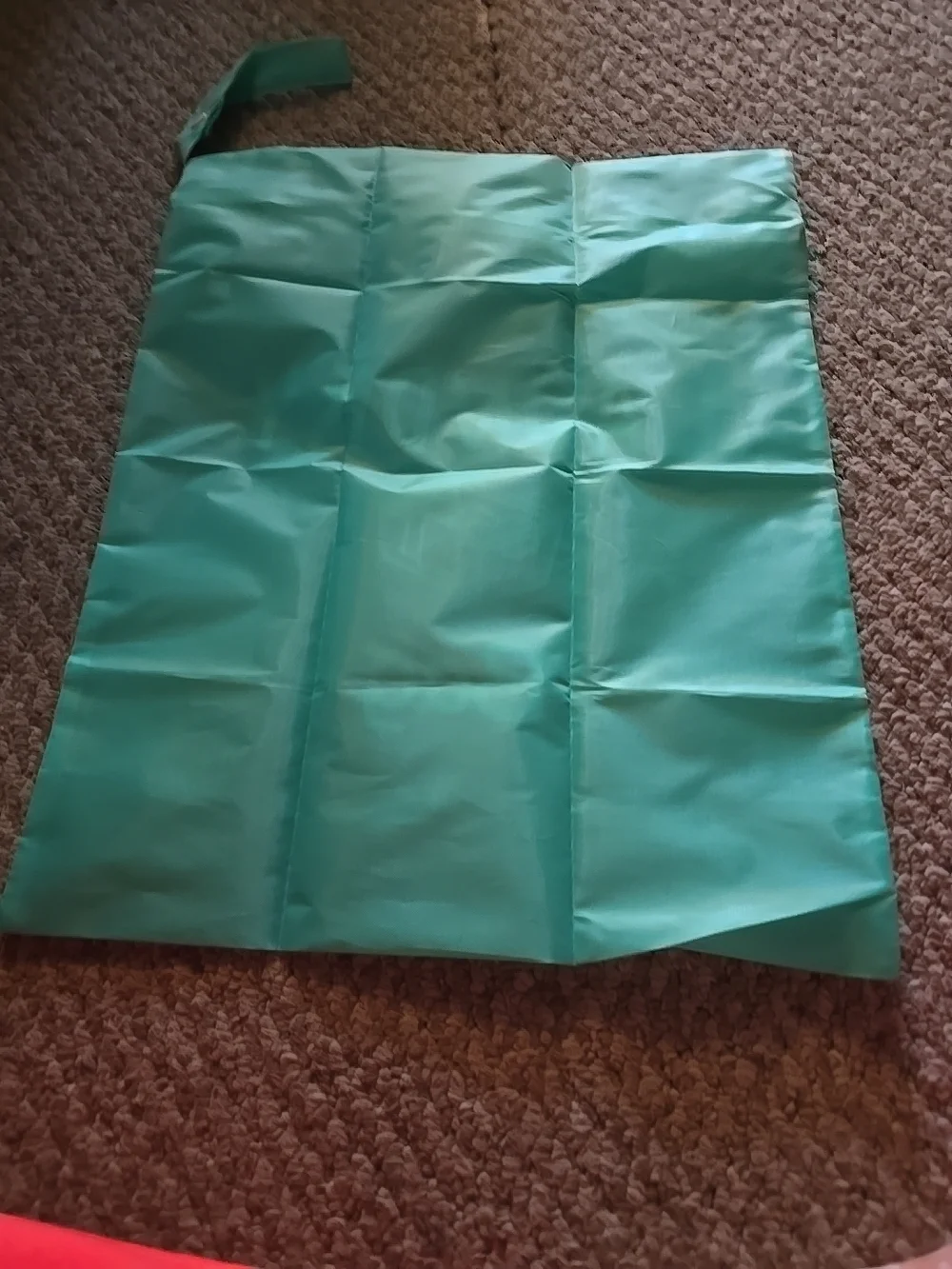 Teal Laundry Bag Garment Storage